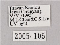 桃紅六點天蛾藏品圖，第3張