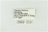 圍異波紋蛾藏品圖，第3張