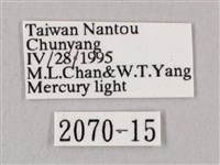 桃紅六點天蛾藏品圖，第3張