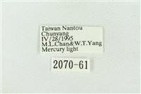 印華波紋蛾藏品圖，第3張