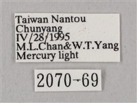 桃紅六點天蛾藏品圖，第3張