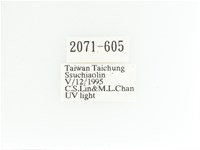 艷金龜藏品圖，第2張