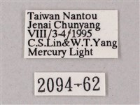 榆綠天蛾藏品圖，第3張