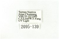 樹形尺蛾藏品圖，第3張