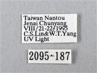 長尾水青蛾藏品圖，第3張