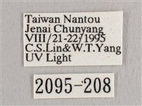 彎黑黃鉤蛾藏品圖，第3張