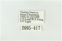 素木綠刺蛾藏品圖，第3張