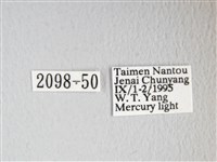 圓翅大鉤蛾藏品圖，第3張