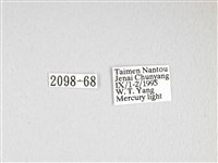 棕綠背線天蛾藏品圖，第3張