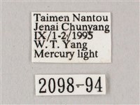 白點天蛾 藏品圖，第3張