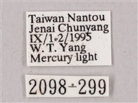 黑角六點天蛾藏品圖，第3張