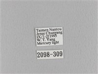 大褐斑枯葉蛾藏品圖，第3張