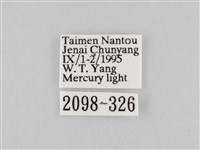 長斑擬燈蛾藏品圖，第3張