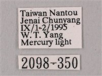 黑角六點天蛾藏品圖，第3張