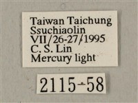 半緣缺角天蛾藏品圖，第3張