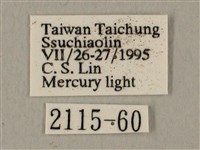 半緣缺角天蛾藏品圖，第3張