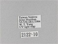 馬尾松枯葉蛾藏品圖，第3張