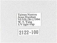 黃斑枯葉蛾藏品圖，第3張