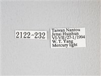 圓翅大鉤蛾藏品圖，第3張