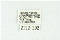 白斑散紋夜蛾藏品圖，第3張