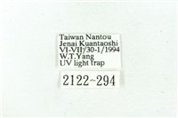 臺雪苔蛾藏品圖，第3張