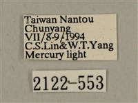 背中白天蛾藏品圖，第3張