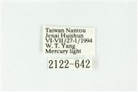 白斑散紋夜蛾藏品圖，第3張