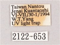 榆綠天蛾藏品圖，第3張