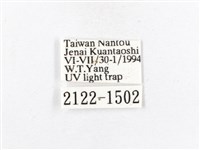 木毒蛾藏品圖，第3張