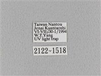 青枯葉蛾藏品圖，第3張