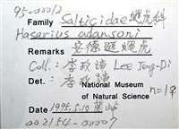 安德遜蠅虎藏品圖，第6張