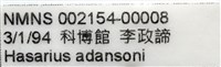 安德遜蠅虎藏品圖，第7張