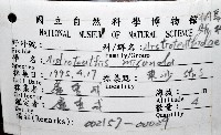 奇妙帆魷藏品圖，第12張