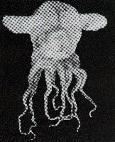水試盧氏面蛸藏品圖，第4張