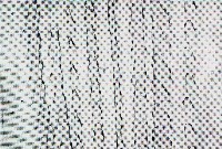 水試盧氏面蛸藏品圖，第8張