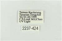 淡紅線波紋蛾藏品圖，第3張