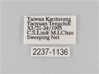 豆環蛺蝶藏品圖，第3張