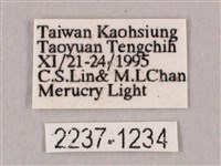 栗六點天蛾藏品圖，第3張