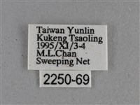 小稻弄蝶藏品圖，第3張