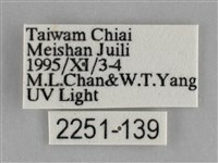 大胡麻斑星尺蛾藏品圖，第3張