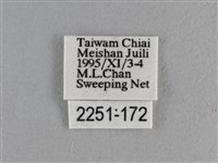 曲紋袖弄蝶藏品圖，第3張