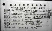 等指海葵藏品圖，第4張