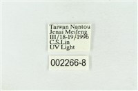 帶波紋蛾藏品圖，第3張