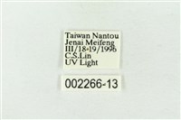 連珠波紋蛾藏品圖，第3張