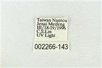 連珠波紋蛾藏品圖，第3張