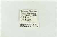 帶波紋蛾藏品圖，第3張