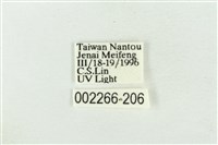 帶波紋蛾藏品圖，第3張