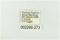 連珠波紋蛾藏品圖，第3張