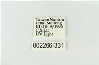 帶波紋蛾藏品圖，第3張