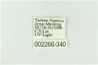 帶波紋蛾藏品圖，第3張